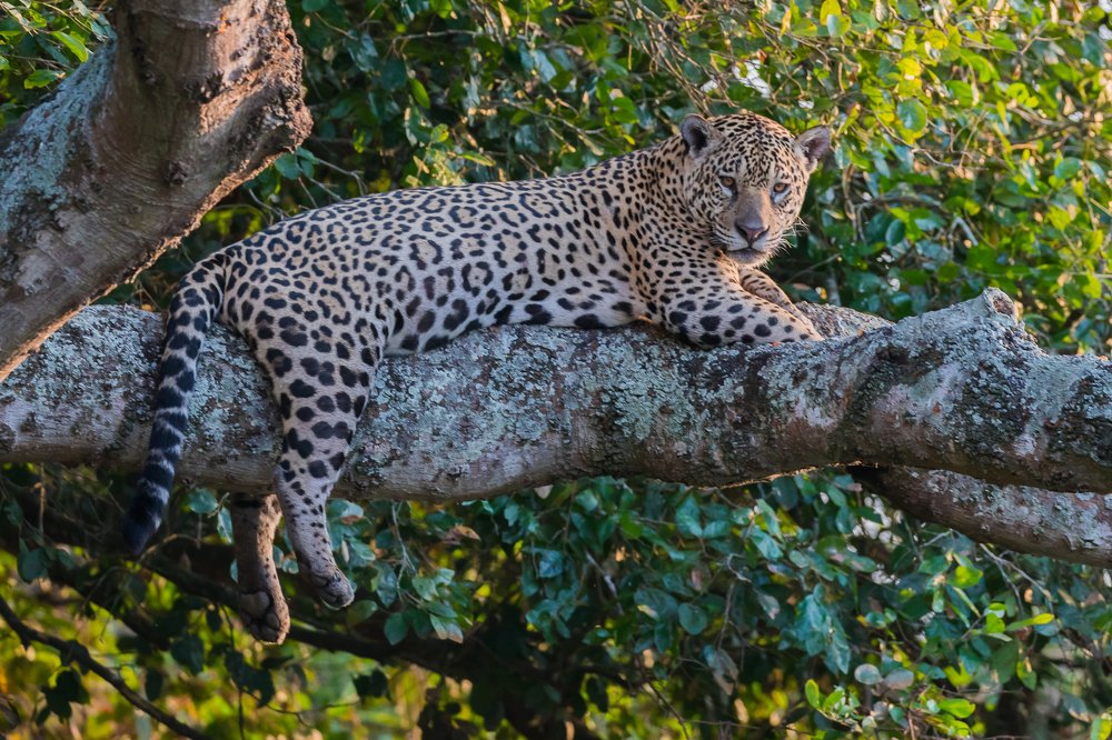 Photograph by Марина Маликова