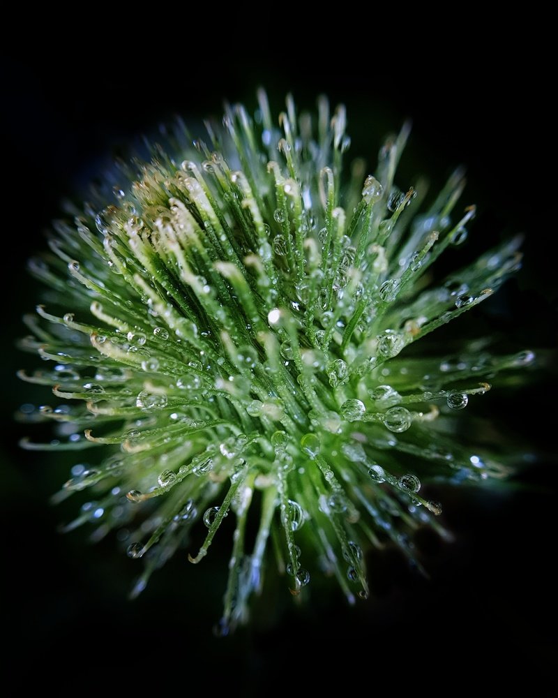 Photograph by Лариса Когтева