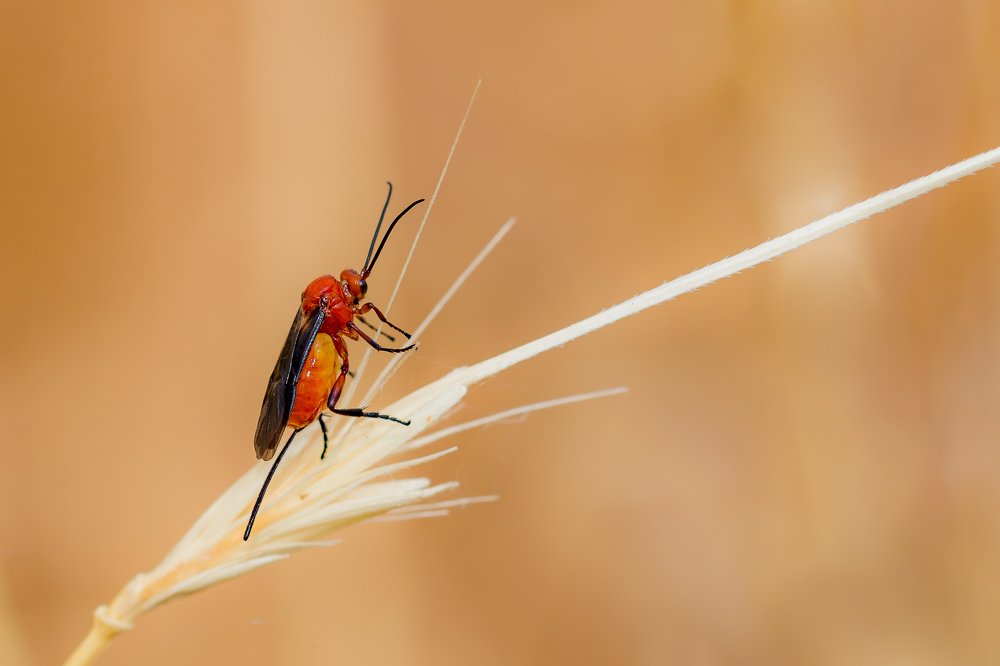 Photograph by Vahid Yavari