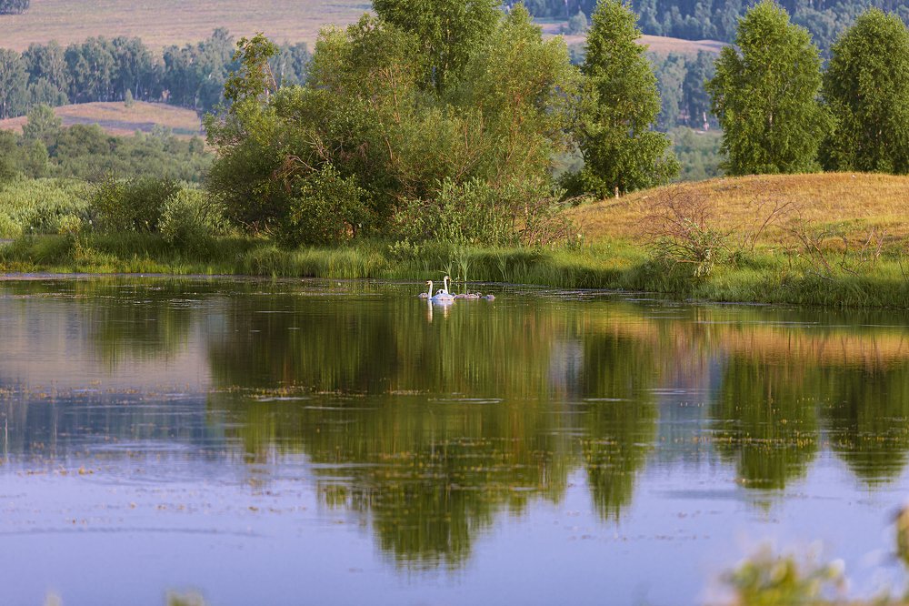 Фотография автора Лариса Корсакова