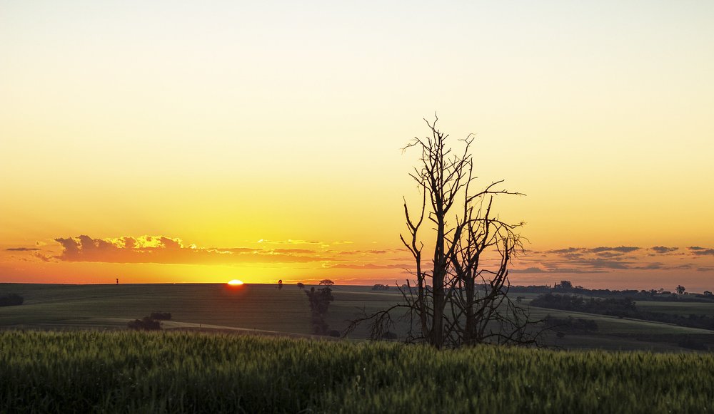 Final de tarde