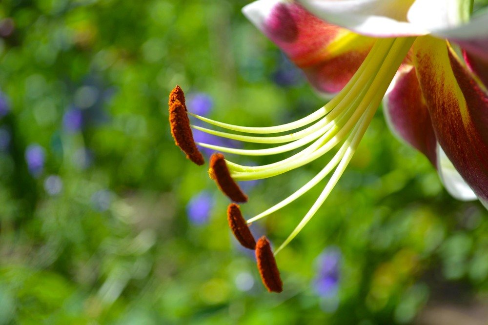 Photograph by Марина Магадиева