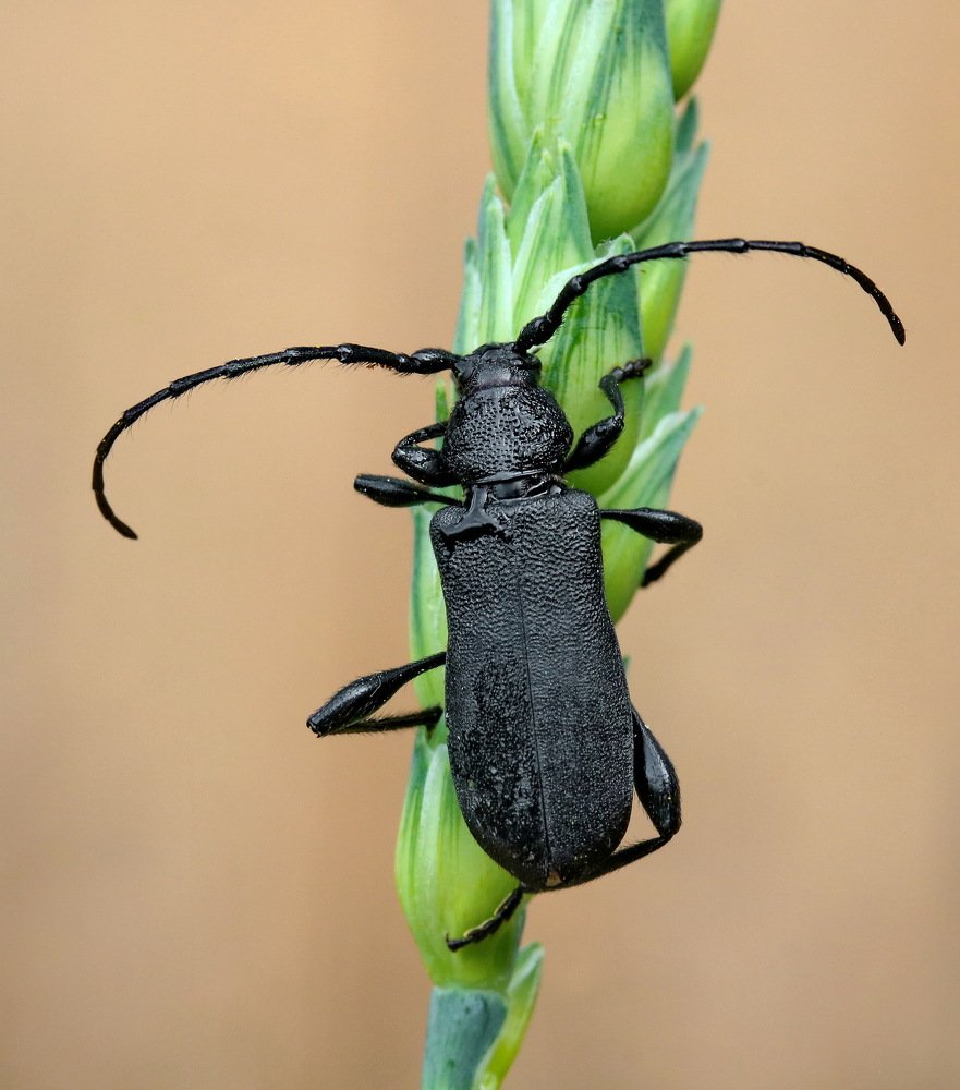 Photograph by Игорь Осипов