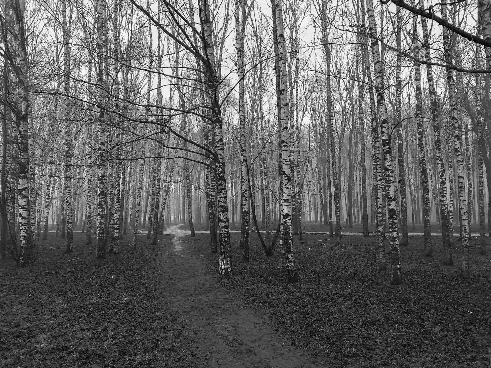 Photograph by Алексей Думин