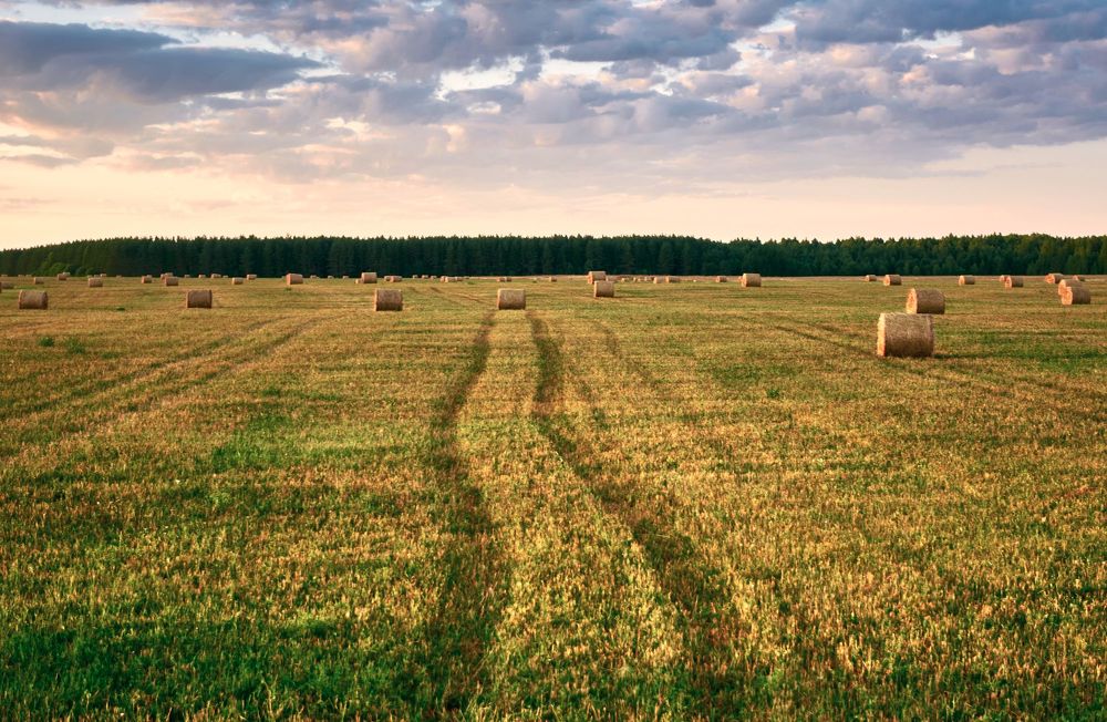 Photograph by Сергей Ветошкин