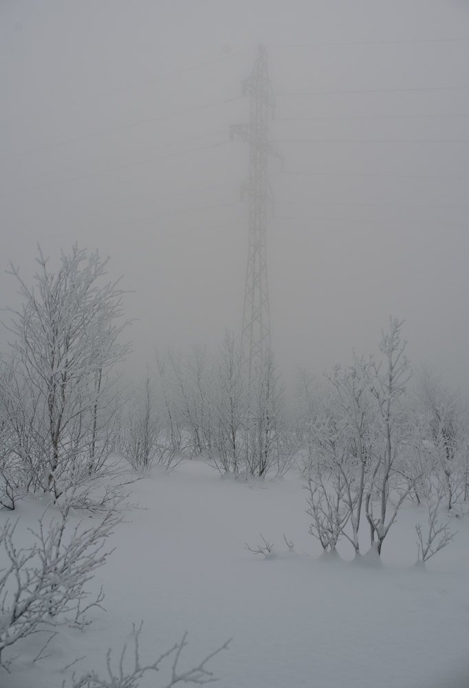 Photograph by Марина Зборацкая