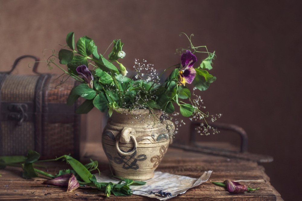 Photograph by Екатерина Дьячкова