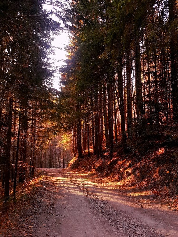 Photograph by Iгор Ситар