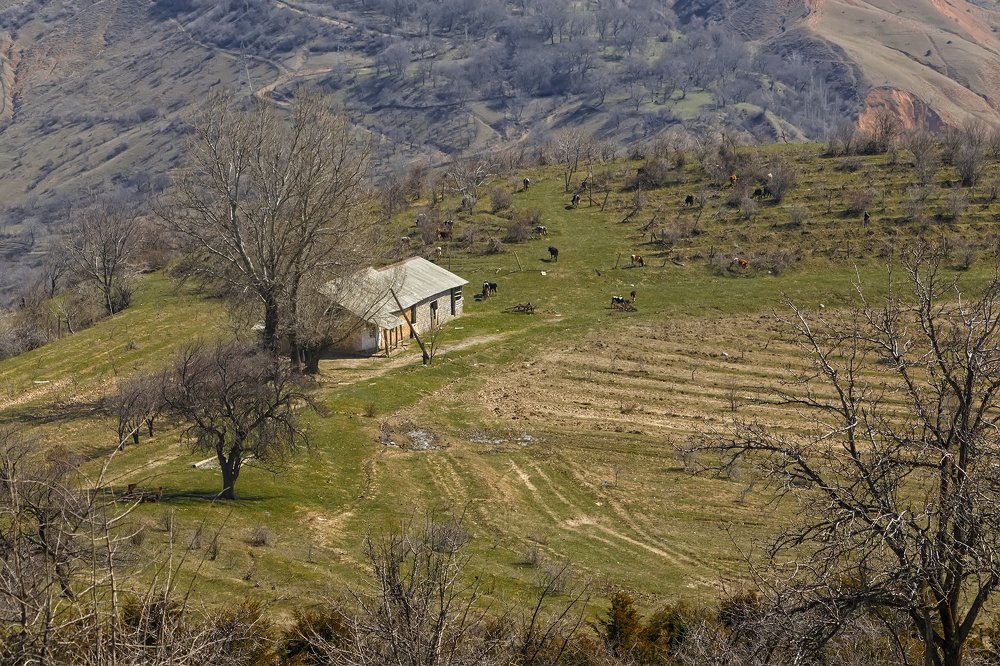 Photograph by Чунина Наталья