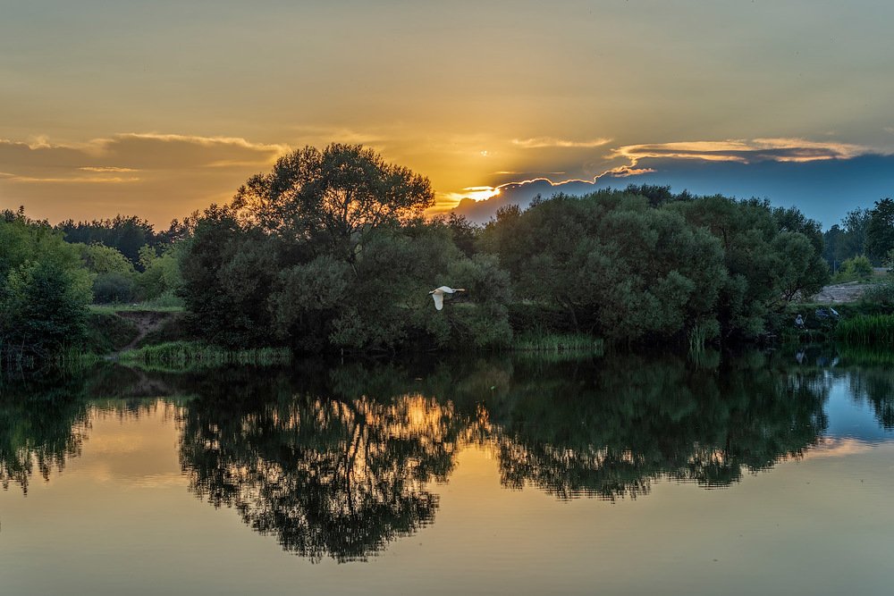 Photograph by Александр Панченко