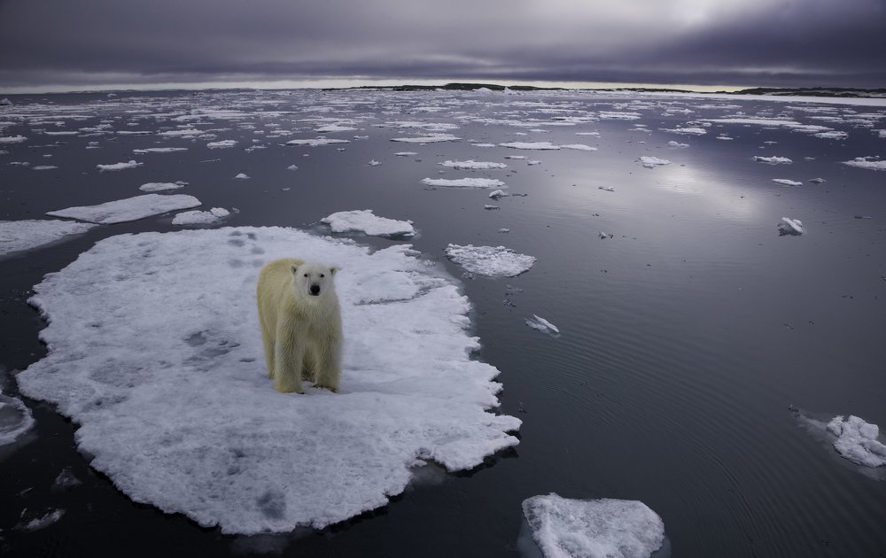 Photograph by HITTHEROAD