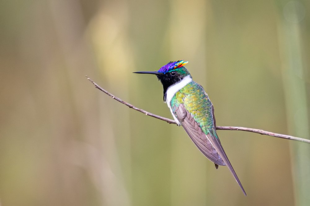 Photograph by André Luiz Araújo