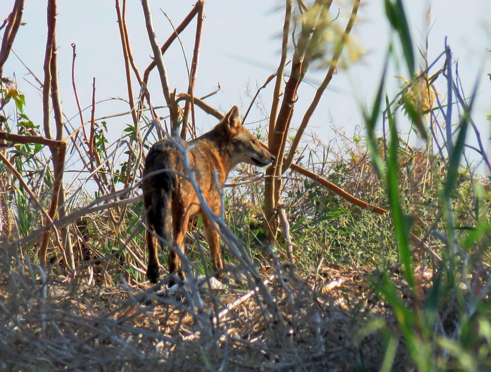 Photograph by Николай Волков