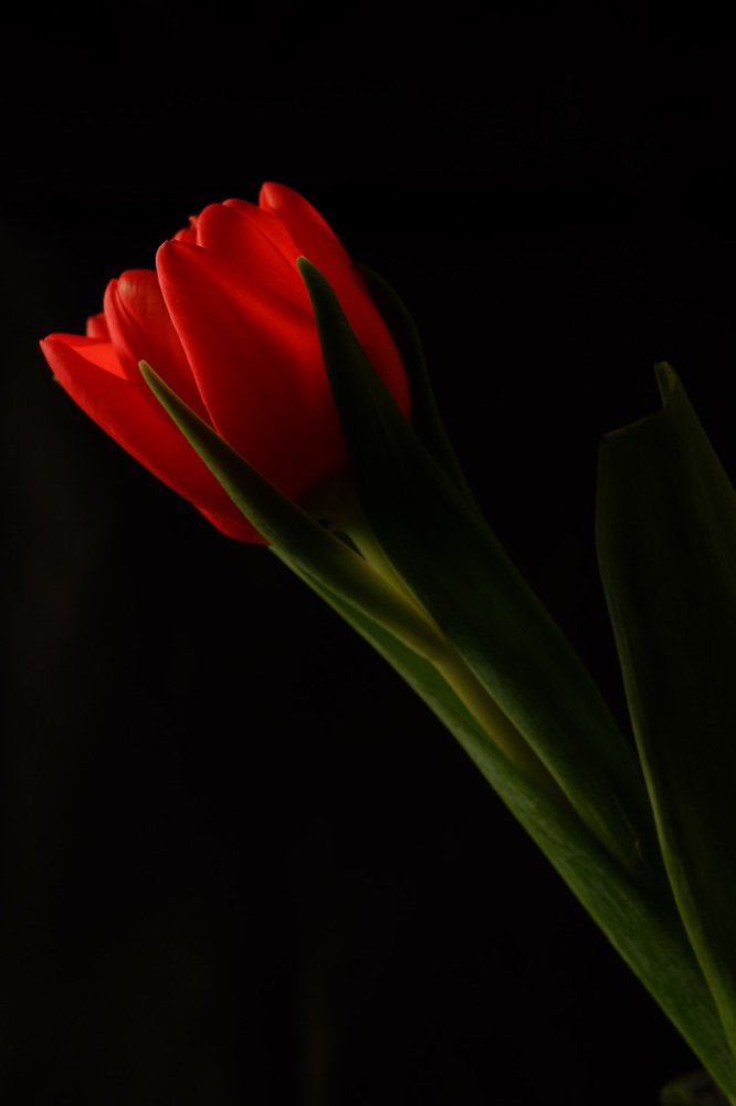 Photograph by Александр Максимов