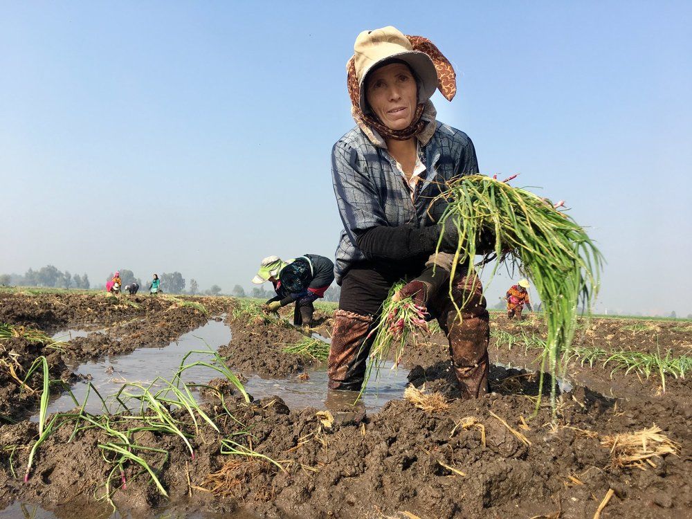 Photograph by  loai zedan