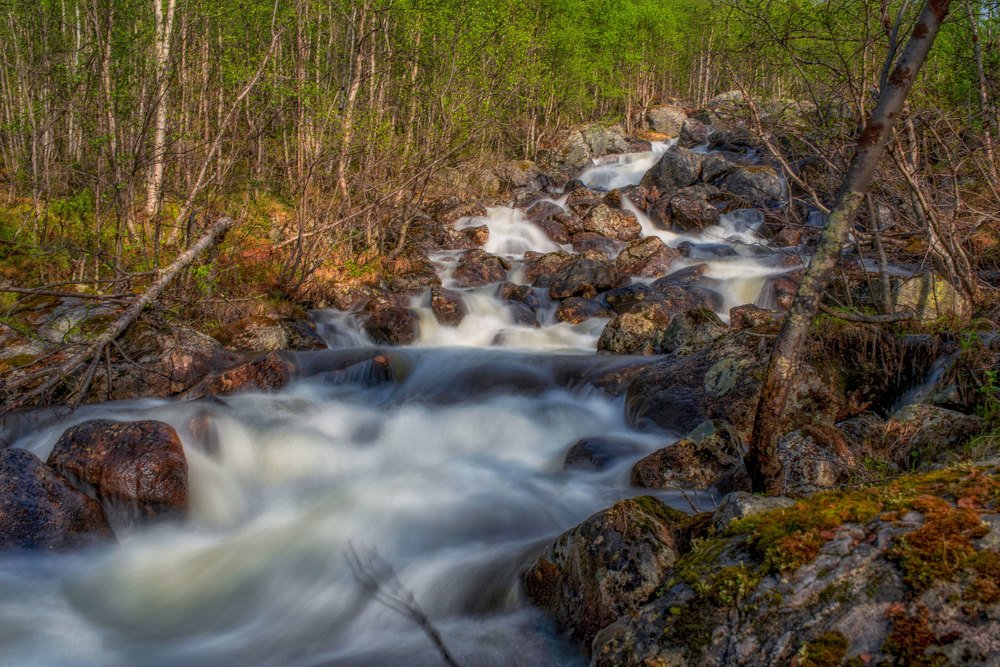 Photograph by Марина Зборацкая