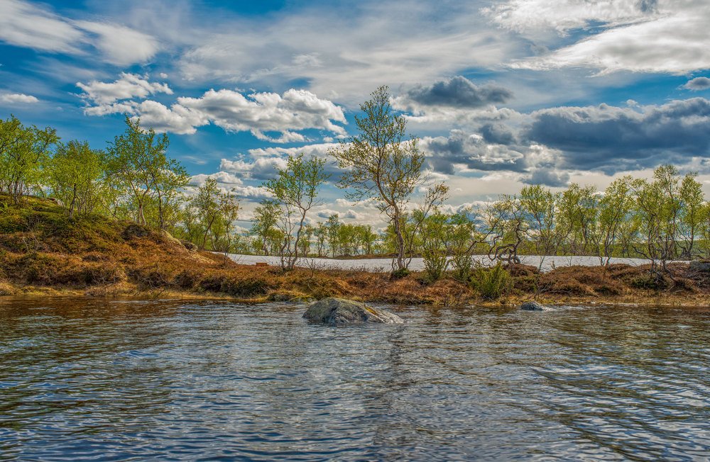 Photograph by Марина Зборацкая