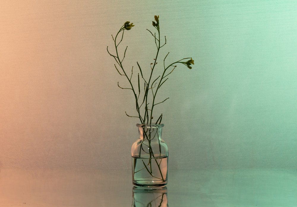 Photograph by Евгений