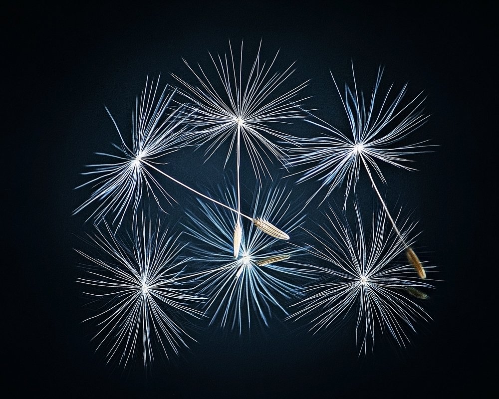 Photograph by Anna Sindikayeva