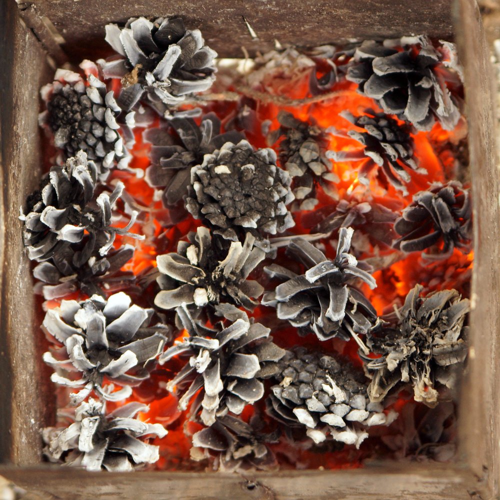 Photograph by Ольга Аристова