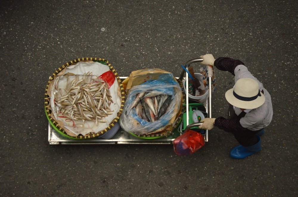 Photograph by Soledad Apreda