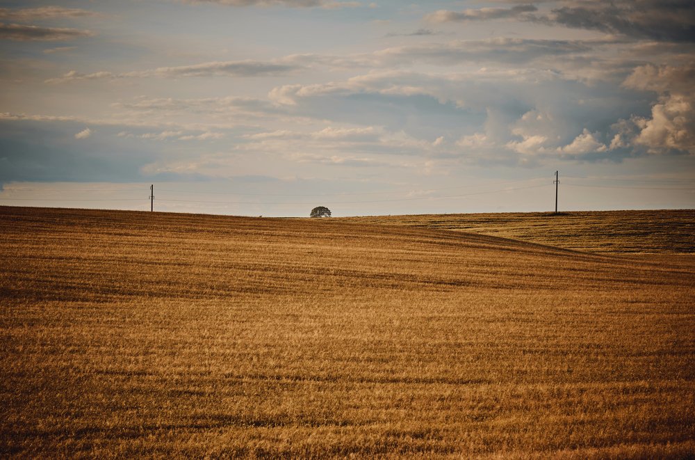 Photograph by Валерий Зенович