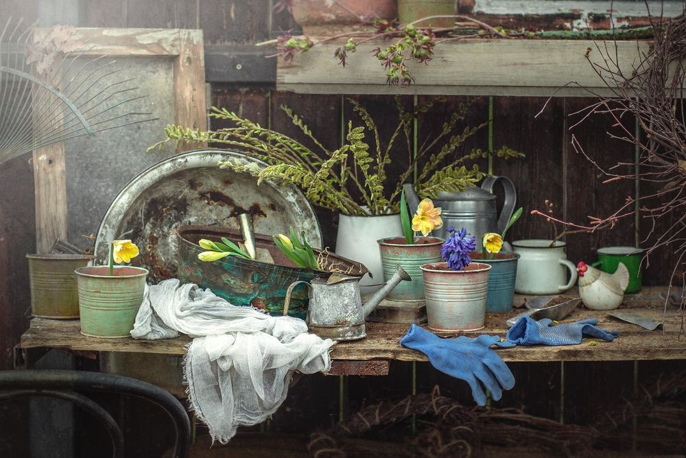 Время зацветать!