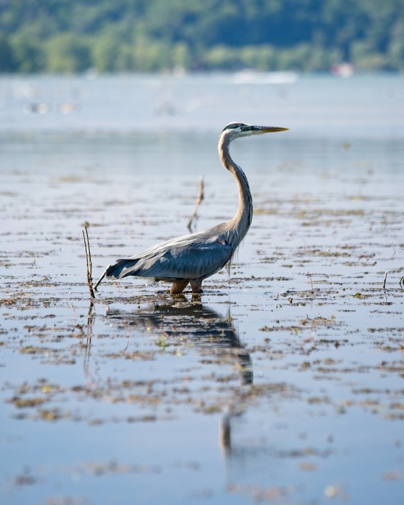 Photograph by Mauro Horta