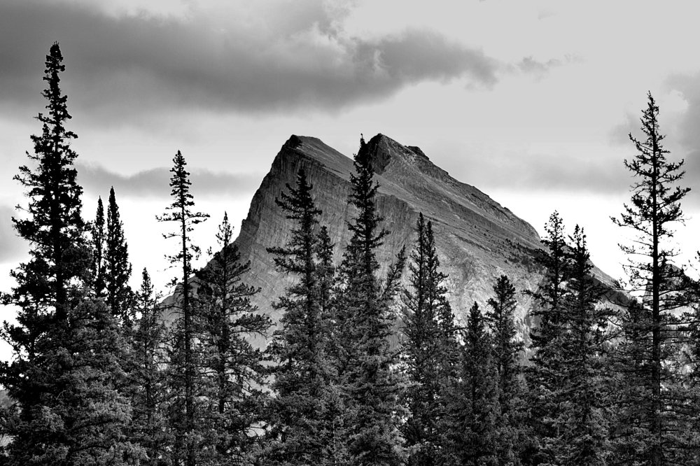 Photograph by Mauro Horta