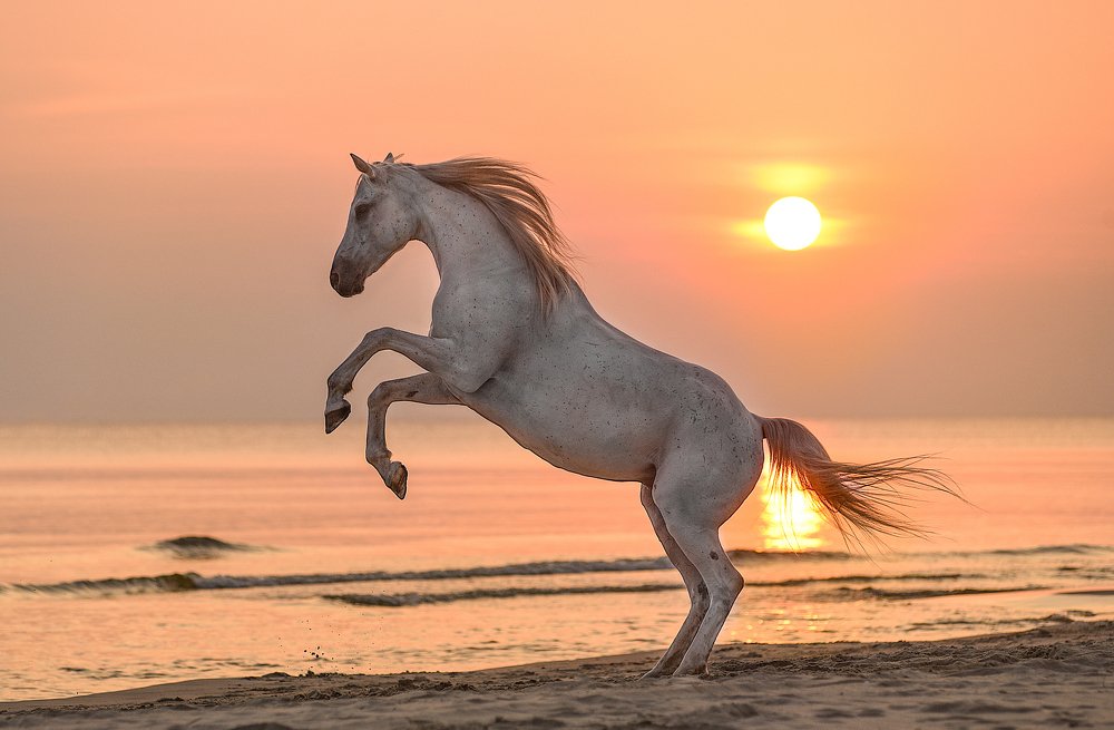 Фотография автора Marta Goch