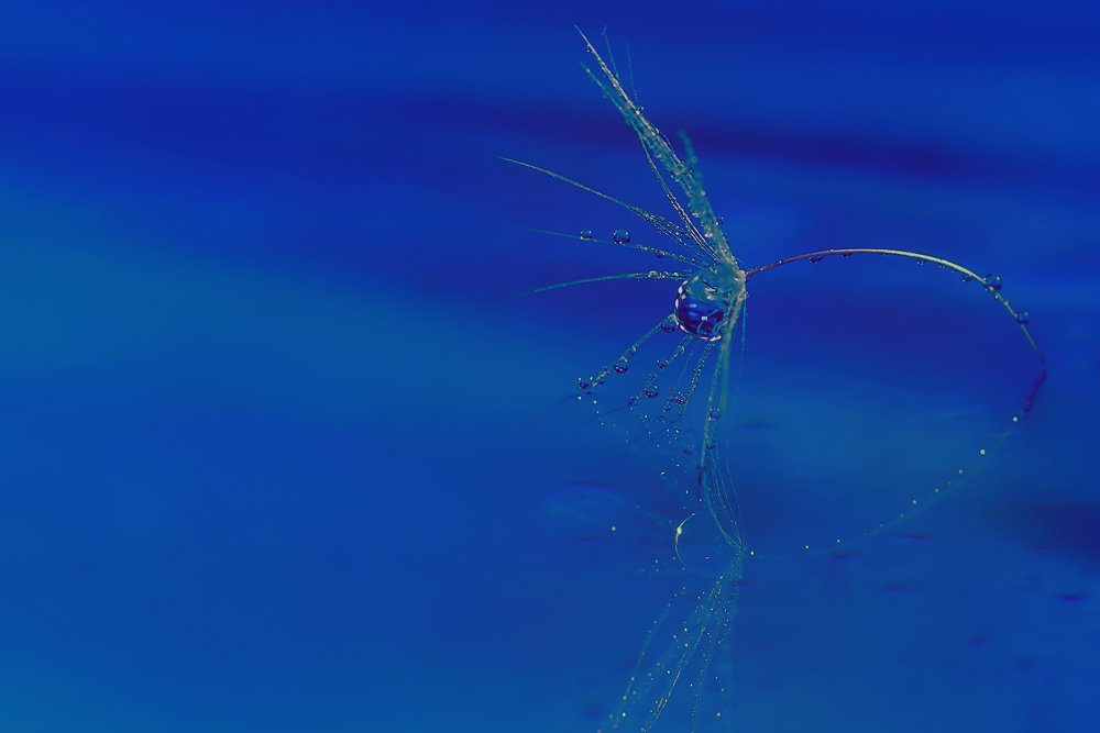 Photograph by Виктор Чернюк