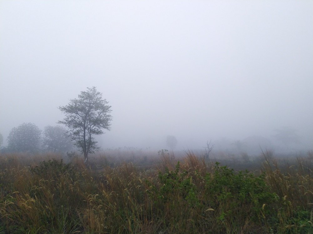 Photograph by Syabani Rahmat
