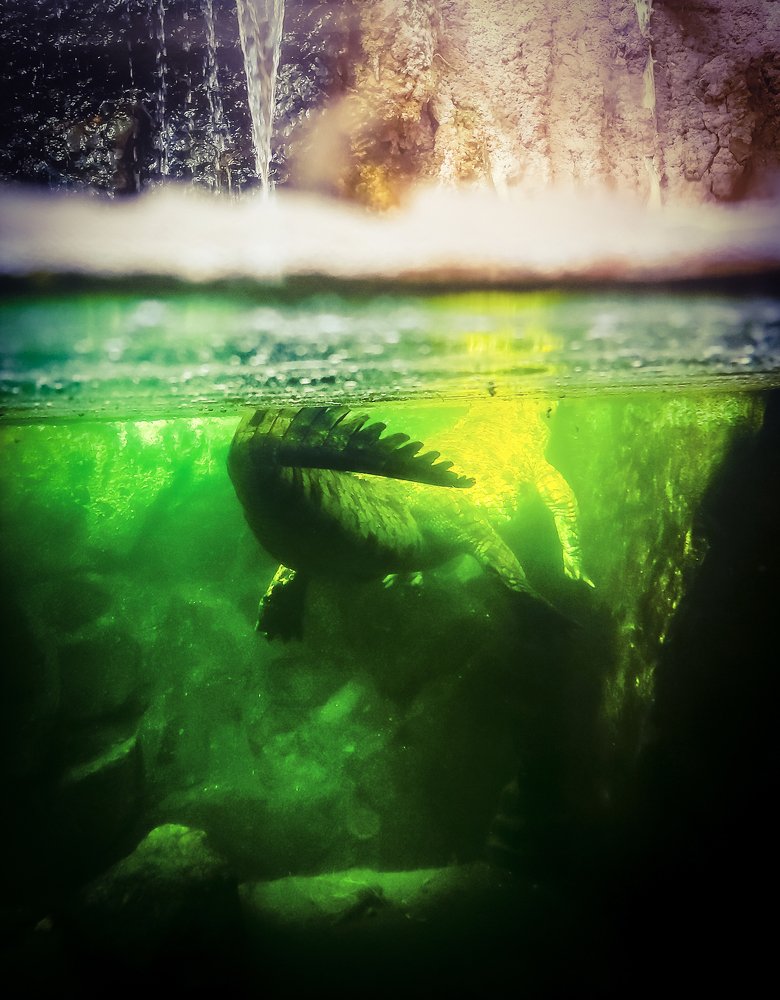 Photograph by Gabriella Sicurello