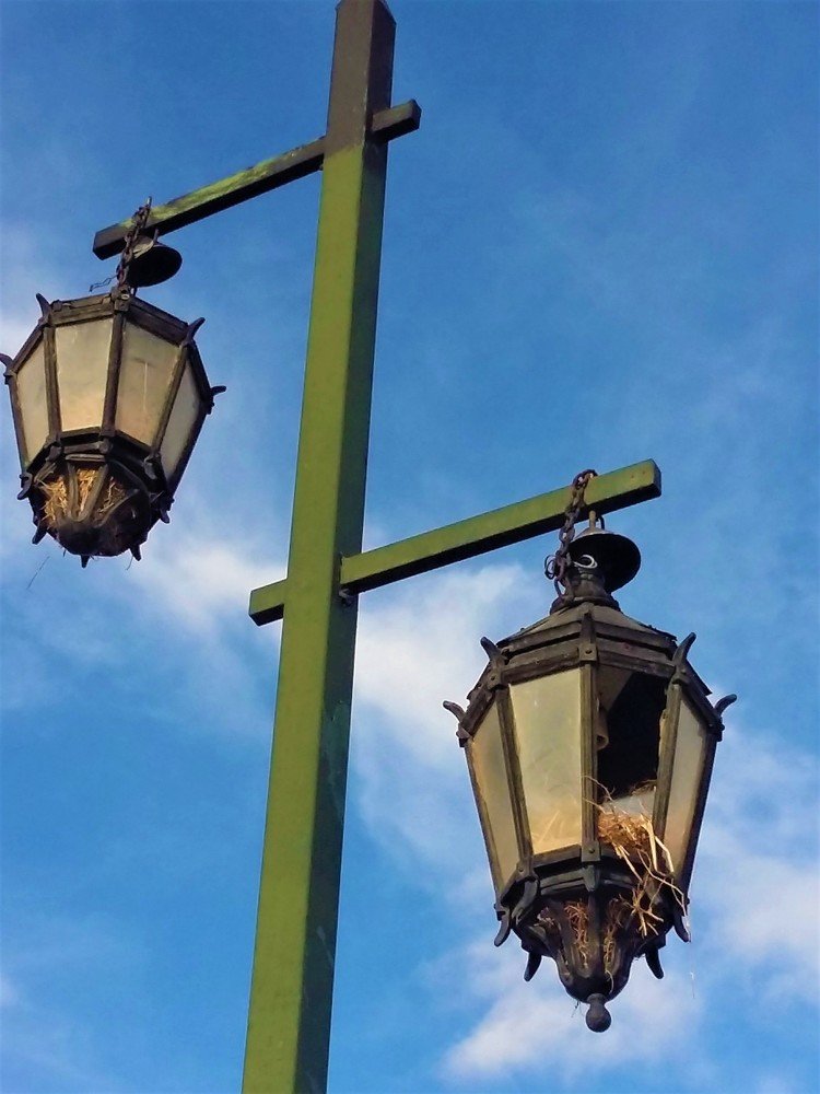 Luz natural