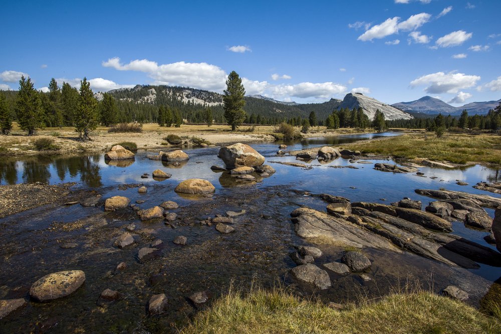 Photograph by Alex Galkin