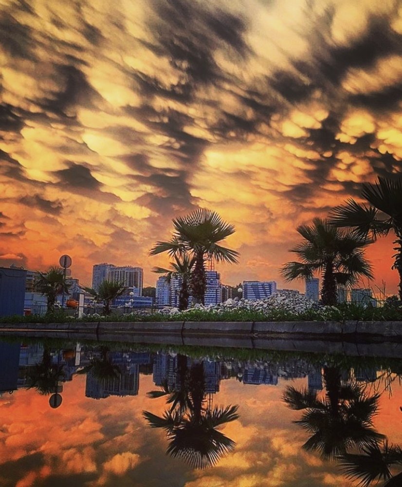 Photograph by Теодора Милекич