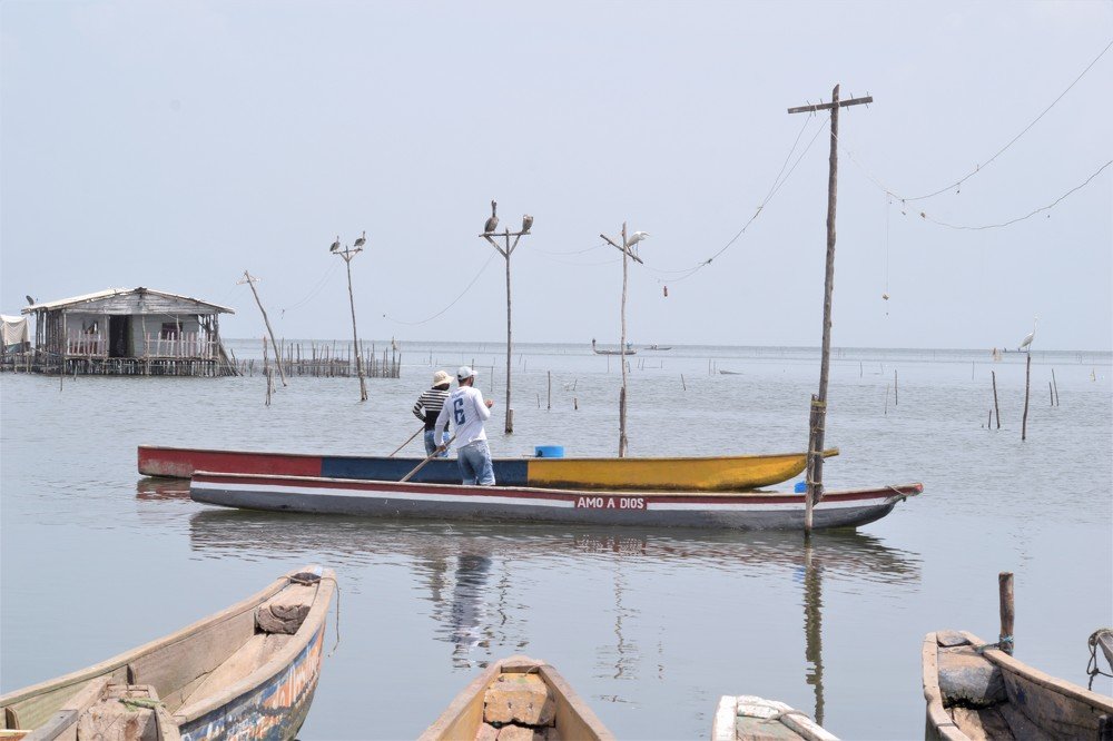 Photograph by Andrés Rivaldo