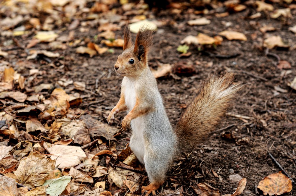 Photograph by Александр Алексеев