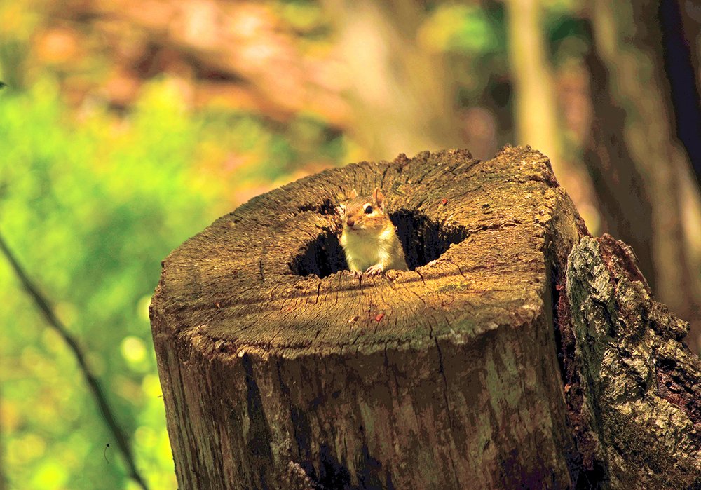 Photograph by Liliana Grup