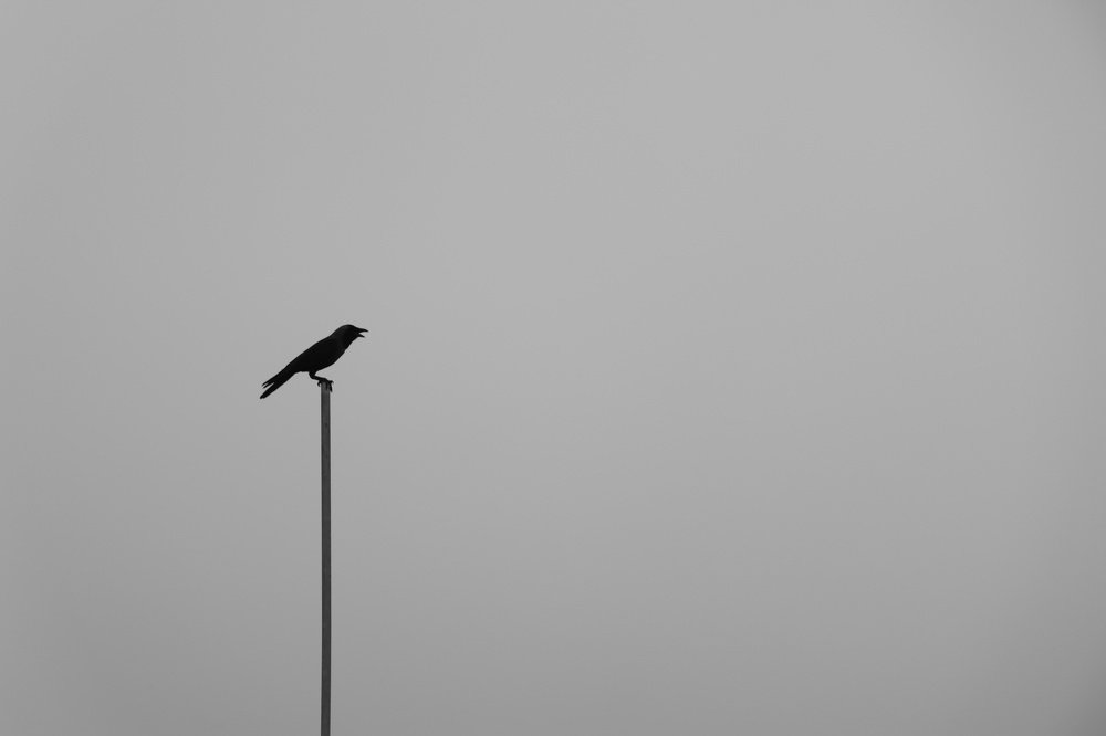 Photograph by Yadu Ushanandini