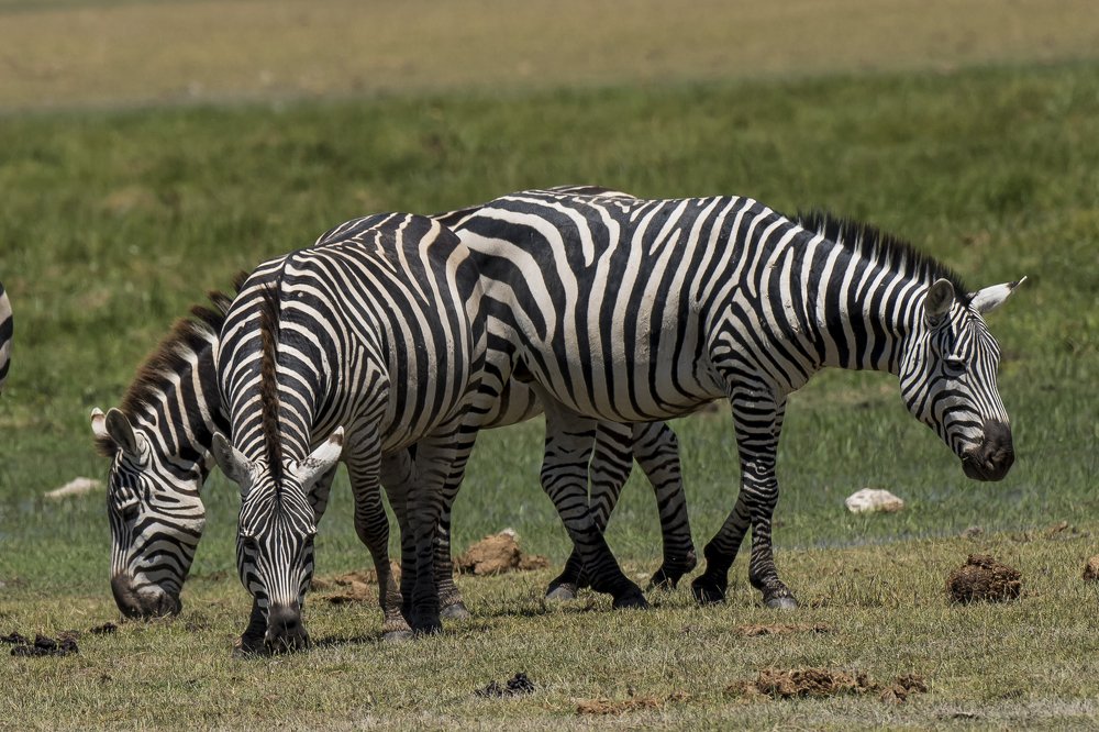 Photograph by PRASHANT VAIDYA