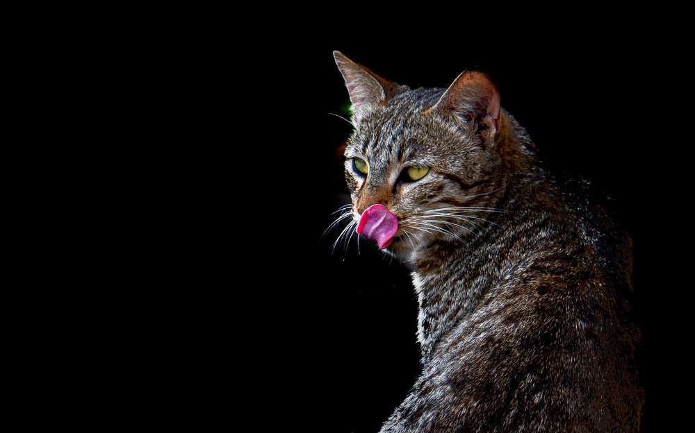 Photograph by Nabarun Majumdar