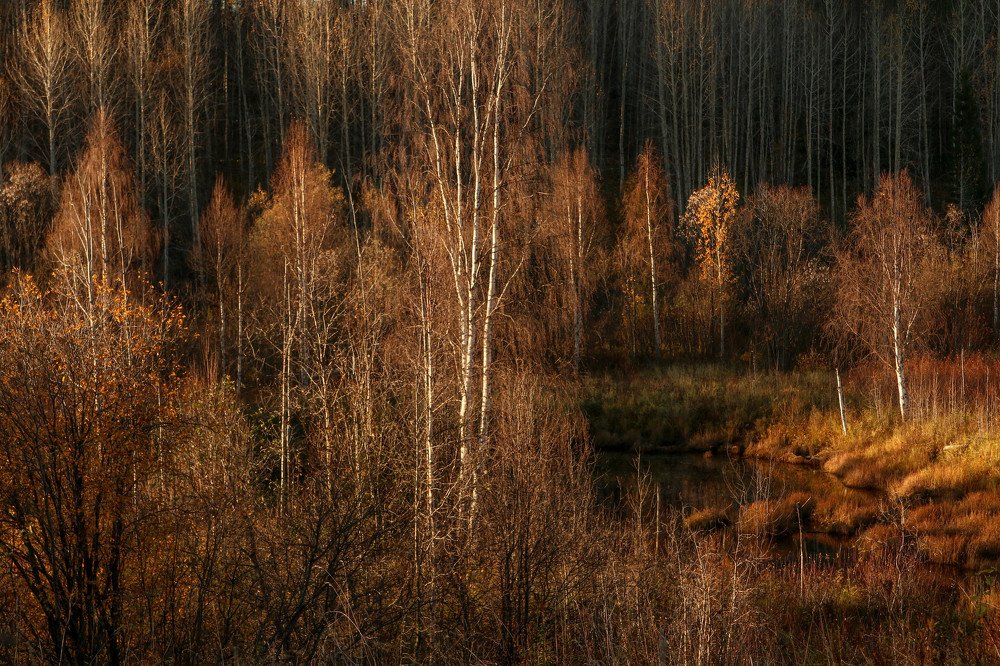 Photograph by Александр Трифанов