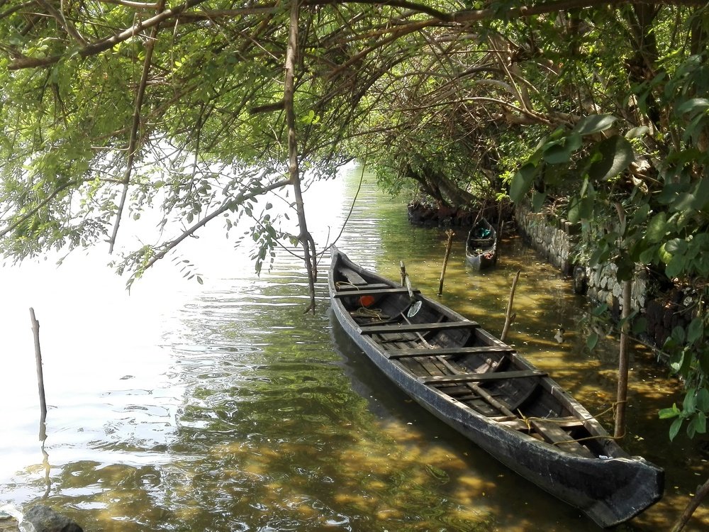 Photograph by Hari krishnajanardhana
