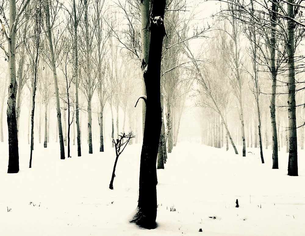 Photograph by Елена Ким