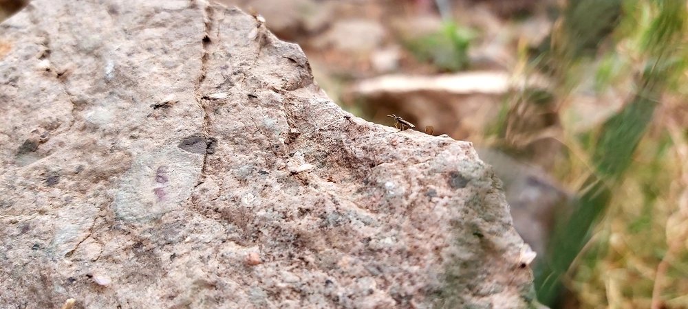 Фотография автора Omar Alammari