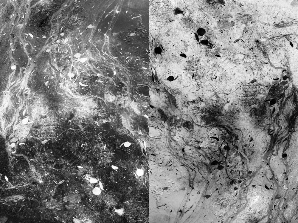 The inverted world I