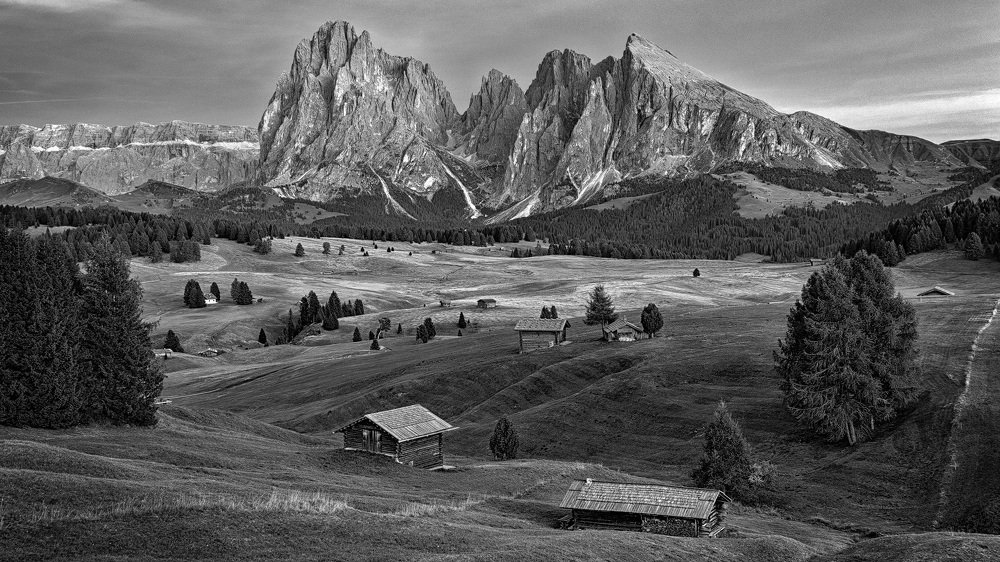 Alpe di Siusi - Dolomites