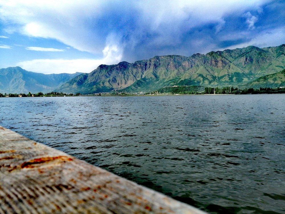 Photo #4781946
