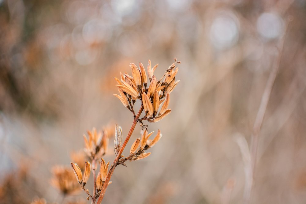 Photograph by Екатерина Лысцова